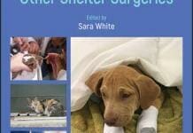 High-Quality, High-Volume Spay and Neuter and Other Shelter Surgeries