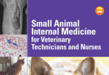 Small Animal Internal Medicine for Veterinary Technicians and Nurses PDF