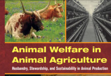 Animal Welfare in Animal Agriculture: Husbandry, Stewardship, and Sustainability in Animal Production