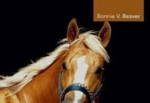 Equine Behavioral Medicine PDF