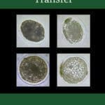 Equine Embryo Transfer PDF By Patrick M. McCue, Edward L. Squires