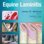 Equine Laminitis Book PDF