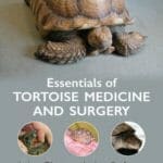 Essentials of Tortoise Medicine and Surgery PDF