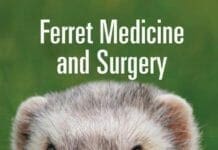Ferret Medicine and Surgery PDF