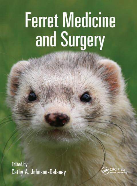 Ferret Medicine and Surgery PDF