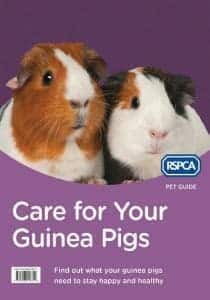 Care for Your Guinea Pigs By RSPCA