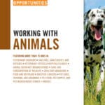 Career Opportunities Working with Animals