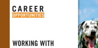 Career Opportunities Working with Animals