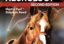 Equine Neurology 2nd Edition PDF