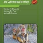 erythrocytes-of-the-rhesus-and-cynomolgus-monkeys