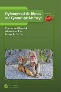 erythrocytes-of-the-rhesus-and-cynomolgus-monkeys
