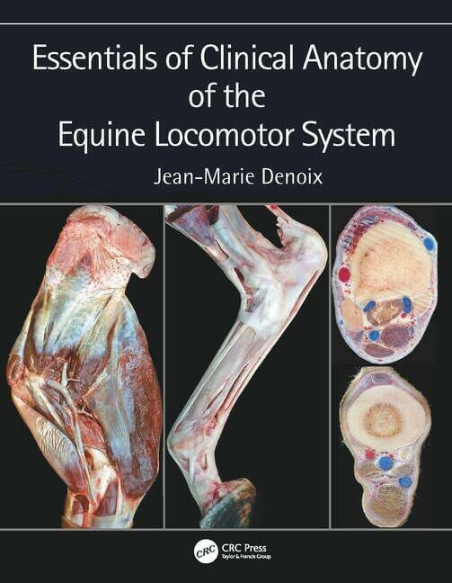 Essentials Of Clinical Anatomy Of The Equine Locomotor System Pdf
