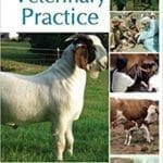 Essentials of Veterinary Practice pdf