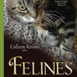 Felines: Common Diseases, Clinical Outcomes and Developments in Veterinary Healthcare