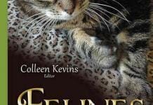 Felines: Common Diseases, Clinical Outcomes and Developments in Veterinary Healthcare