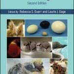 Hand-Rearing Birds 2nd Edition