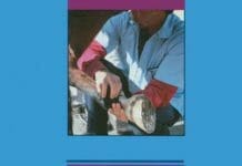 Practical Guide to Lameness in Horses 4th Edition PDF