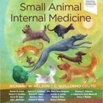 Small Animal Internal Medicine 6th Edition PDF Download