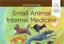 Small Animal Internal Medicine 6th Edition PDF Download
