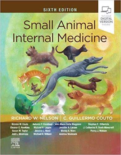 Small Animal Internal Medicine 6th Edition PDF