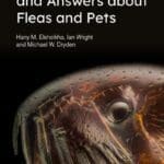 top-100-questions-and-answers-about-fleas-and-pets
