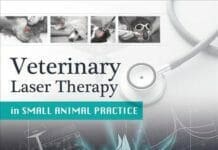 Veterinary Laser Therapy in Small Animal Practice PDF Book