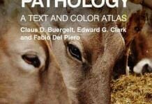 Bovine Pathology: A Text and Color Atlas PDF