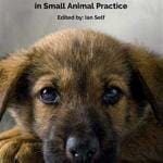 BSAVA Guide to Pain Management in Small Animal Practice