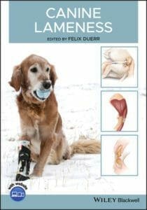 canine-lameness