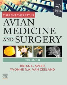 健康・医学 KIRK'S CURRENT VETERINARY THERAPY13 Kirk's Current Veterinary Therapy XIII: Small Animal Practice