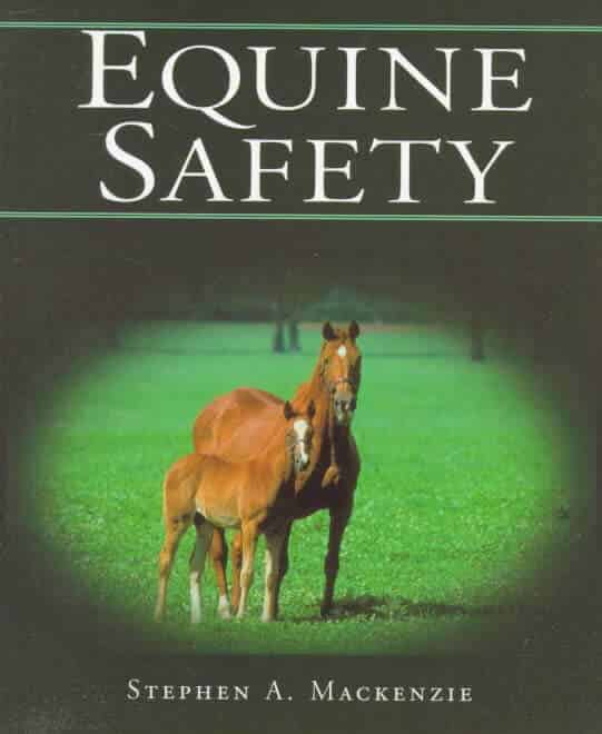 Equine Safety Pdf