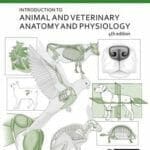 Introduction to Veterinary Anatomy and Physiology Textbook 4th Edition PDF Download