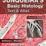 Junqueira's Basic Histology 15th Edition PDF Book