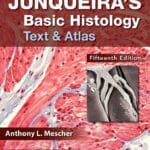 Junqueira’s Basic Histology 15th Edition