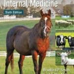 Large Animal Internal Medicine 6th Edition PDF