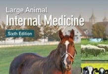 Large Animal Internal Medicine 6th Edition PDF