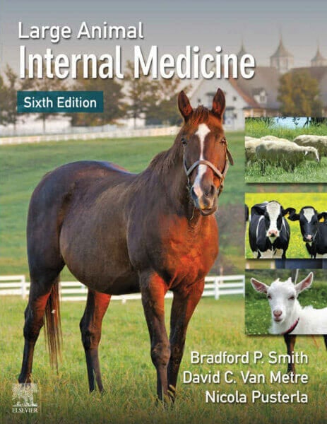 Large Animal Internal Medicine 6th Edition
