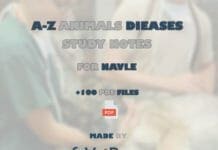 navle study guide pdf