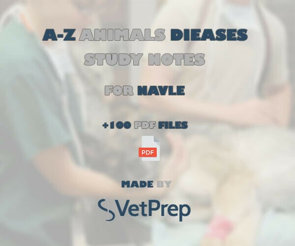 A-Z Animals Diseases Study Notes For NAVLE