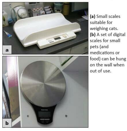 Weighing Scales For Vet clinic