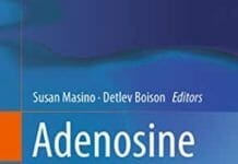 Adenosine: A Key Link between Metabolism and Brain Activity