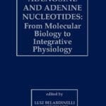 Adenosine and Adenine Nucleotides From Molecular Biology to Integrative Physiology book