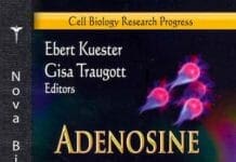 Adenosine Triphosphate: Chemical Properties Biosynthesis and Functions in Cells