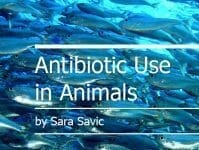 Antibiotic Use in Animals Book PDF