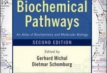 Biochemical Pathways: An Atlas of Biochemistry and Molecular Biology, 2nd Edition PDF