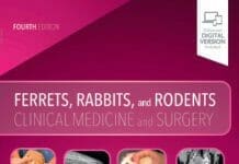 Ferrets, Rabbits, and Rodents: Clinical Medicine and Surgery 4th Edition PDF