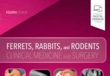 Ferrets, Rabbits, and Rodents: Clinical Medicine and Surgery 4th Edition PDF