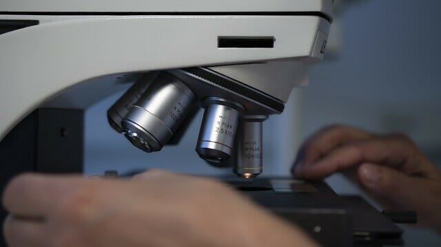 Microscopes For Veterinarians