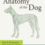 Miller and Evans Anatomy of the Dog 5th Edition PDF