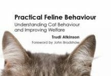 Practical Feline Behaviour PDF